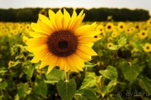 Шиханы - поход на дно древнего моря