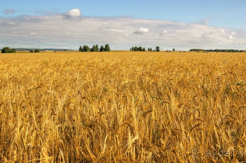 Шиханы - поход на дно древнего моря