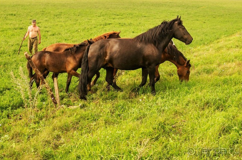 Шиханы - поход на дно древнего моря