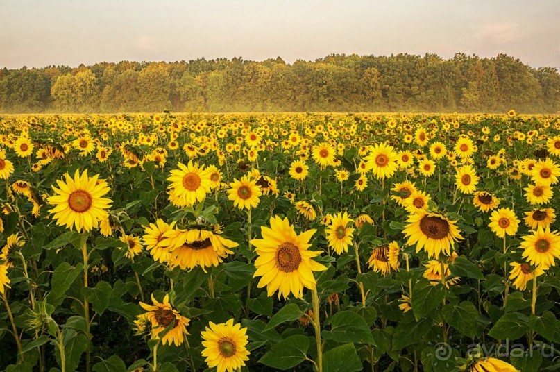 Шиханы - поход на дно древнего моря