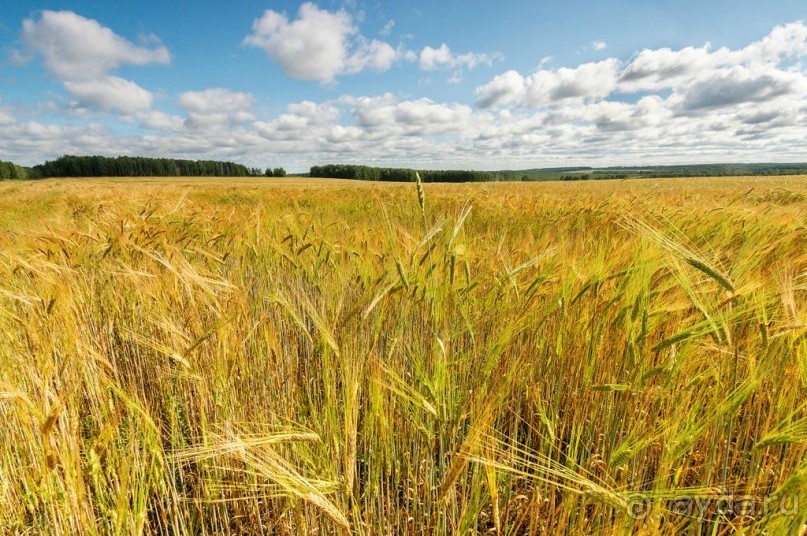 Шиханы - поход на дно древнего моря