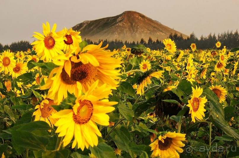 Шиханы - поход на дно древнего моря