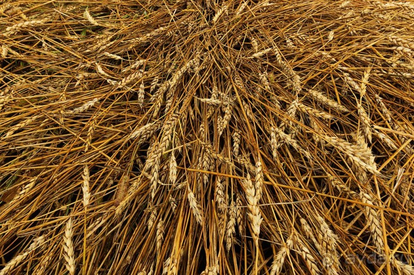 Шиханы - поход на дно древнего моря