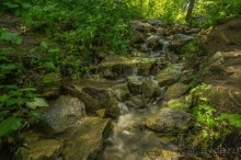 Удивительное рядом - природа Урала