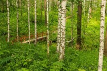 Удивительное рядом - природа Урала