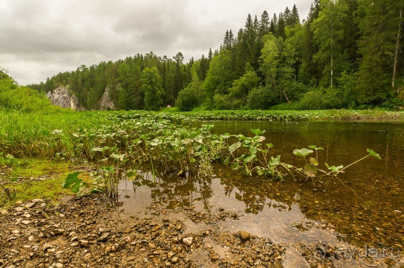 Удивительное рядом - природа Урала