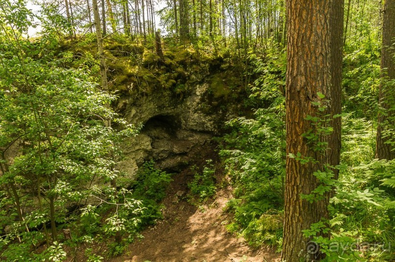 Удивительное рядом - природа Урала