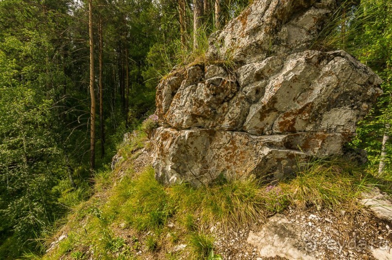 Удивительное рядом - природа Урала