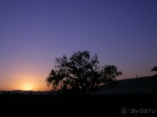 Альбом отзыва "Кения, Накуру"