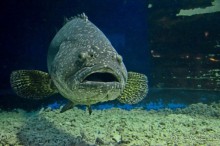 По филиппинским городам и весям. Часть 5