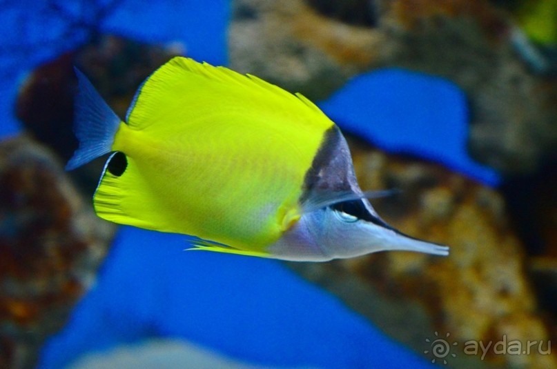 По филиппинским городам и весям. Часть 5