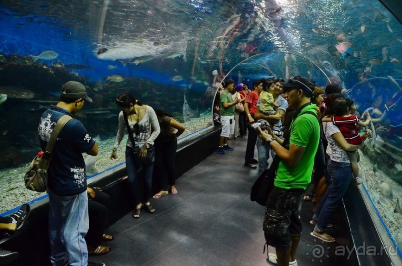 По филиппинским городам и весям. Часть 5