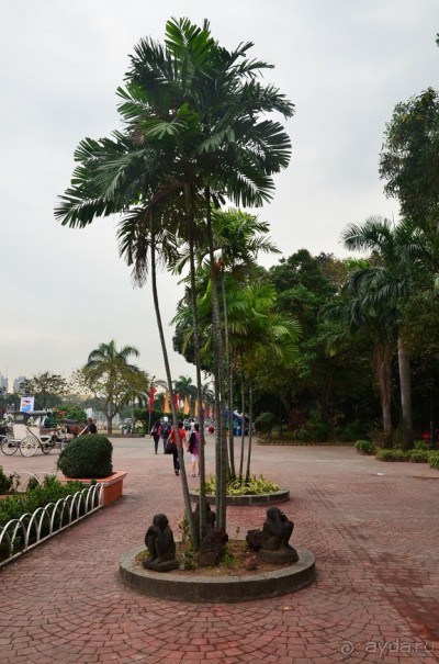 По филиппинским городам и весям. Часть 5