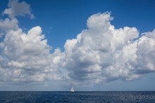 Hop on Malta! Часть 4