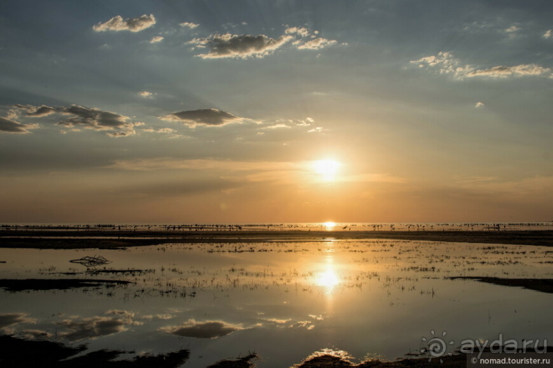 Африканское ралли. Часть 4