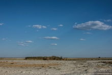 Африканское ралли. Часть 4