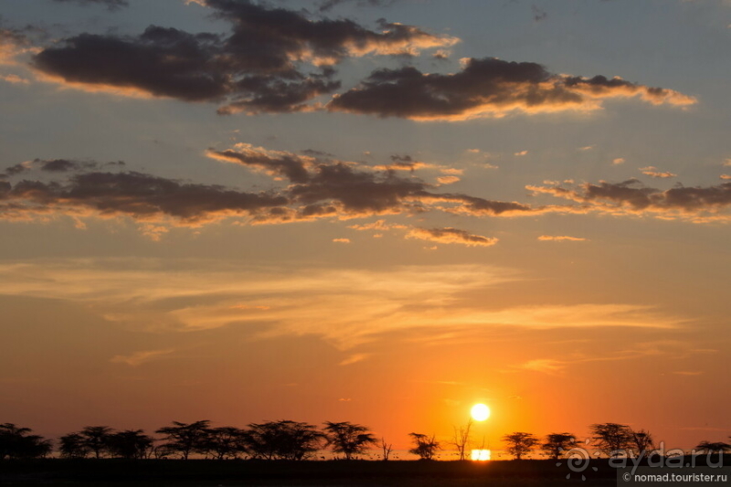 Африканское ралли. Часть 4