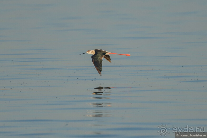 Африканское ралли. Часть 4