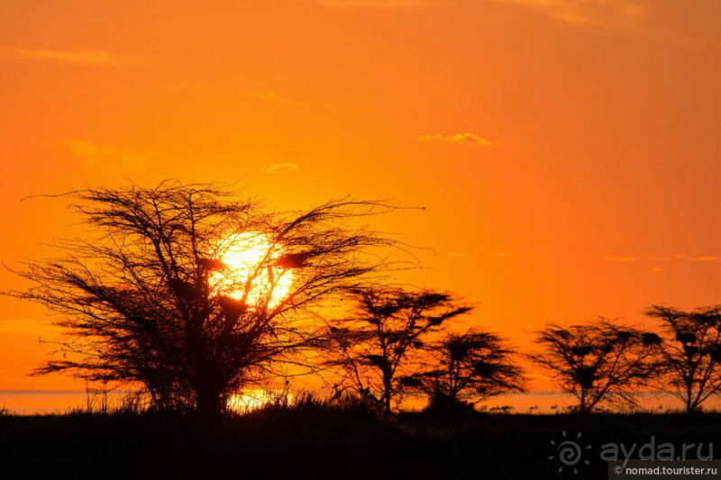 Африканское ралли. Часть 4