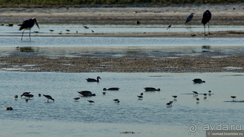 Африканское ралли. Часть 4