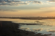 Африканское ралли. Часть 4