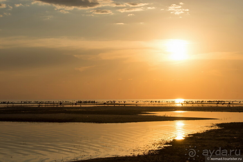 Африканское ралли. Часть 4