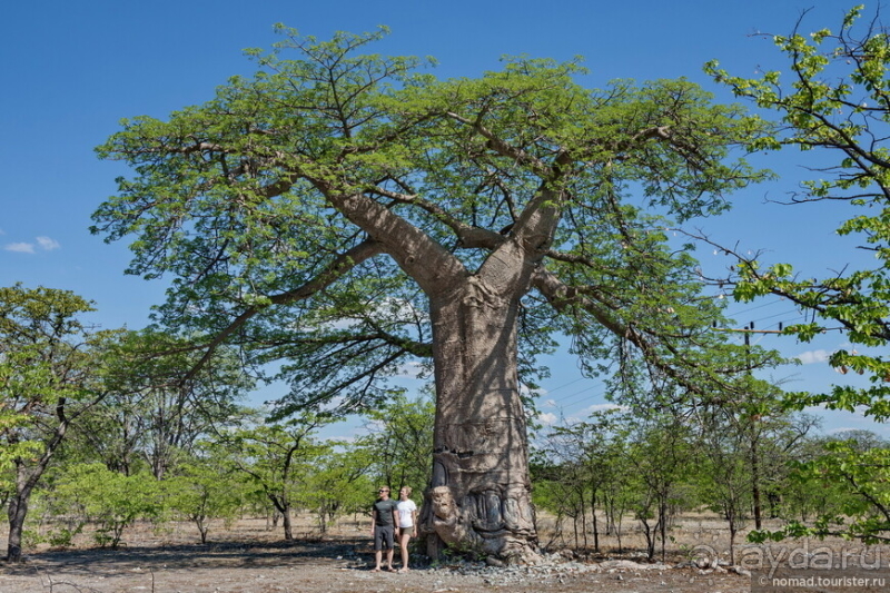 Африканское ралли. Часть 4