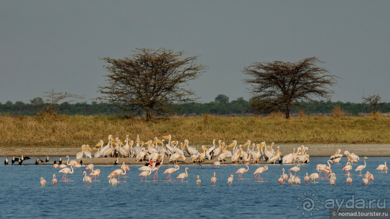 Африканское ралли. Часть 4