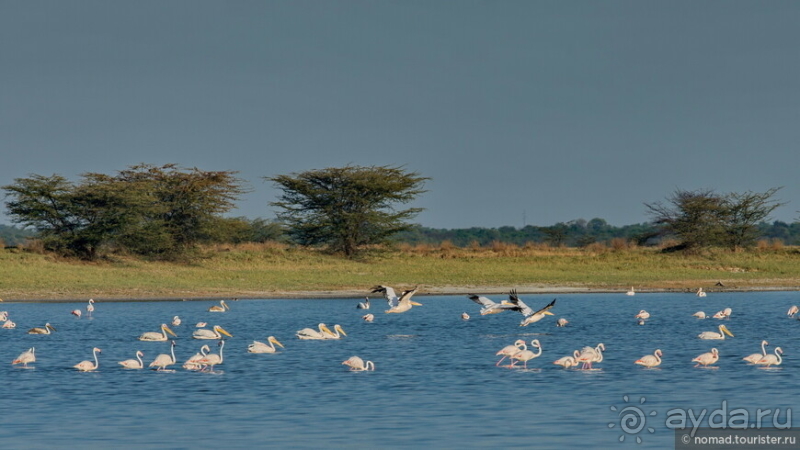 Африканское ралли. Часть 4