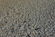 Африканское ралли. Часть 4