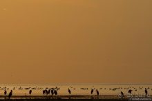 Африканское ралли. Часть 4