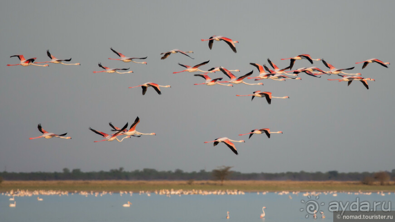 Африканское ралли. Часть 4