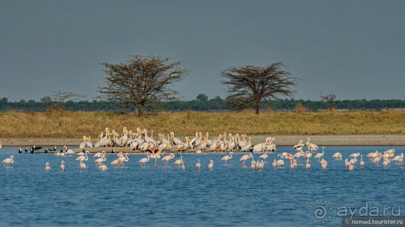 Африканское ралли. Часть 4