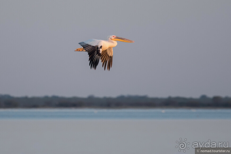 Африканское ралли. Часть 4