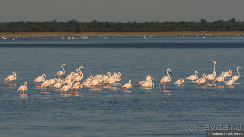 Африканское ралли. Часть 4