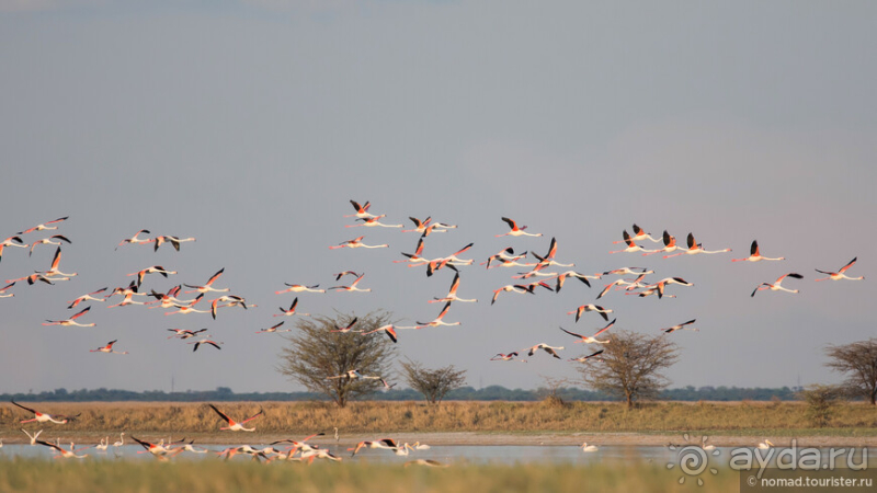 Африканское ралли. Часть 4