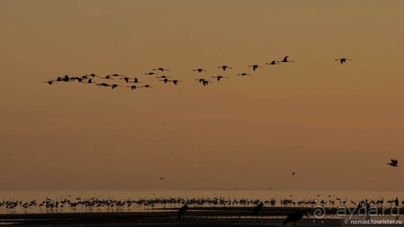 Африканское ралли. Часть 4