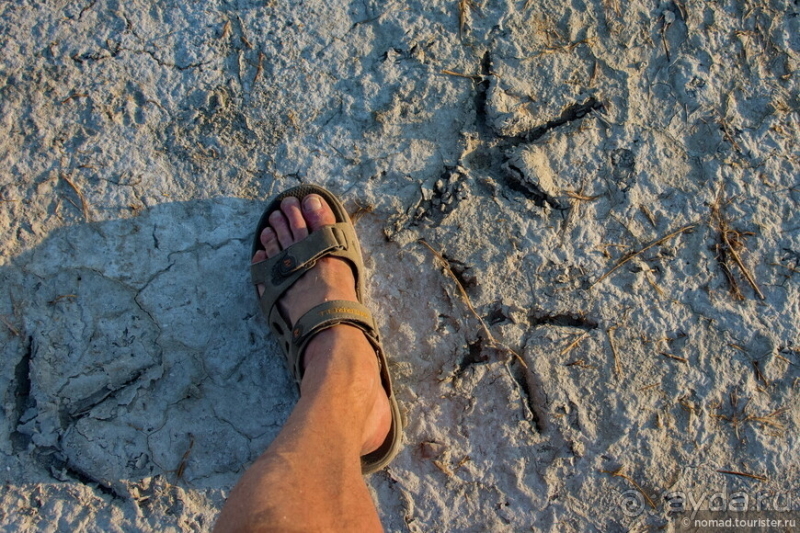 Африканское ралли. Часть 4