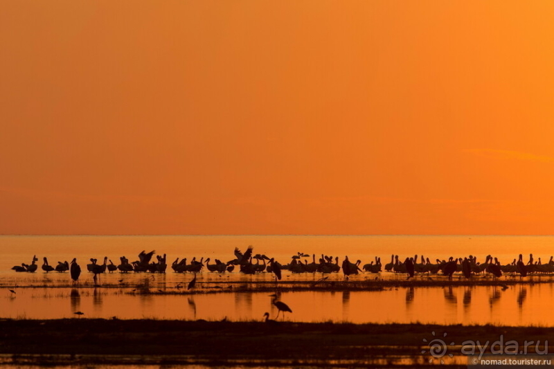 Африканское ралли. Часть 4