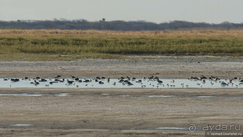 Африканское ралли. Часть 4