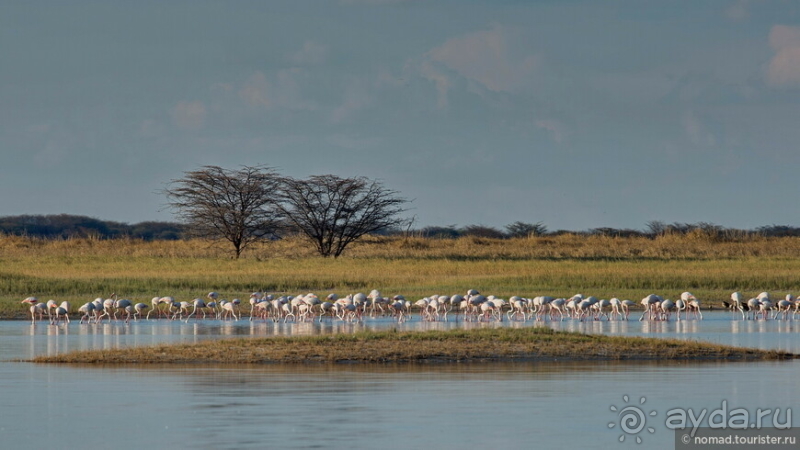 Африканское ралли. Часть 4