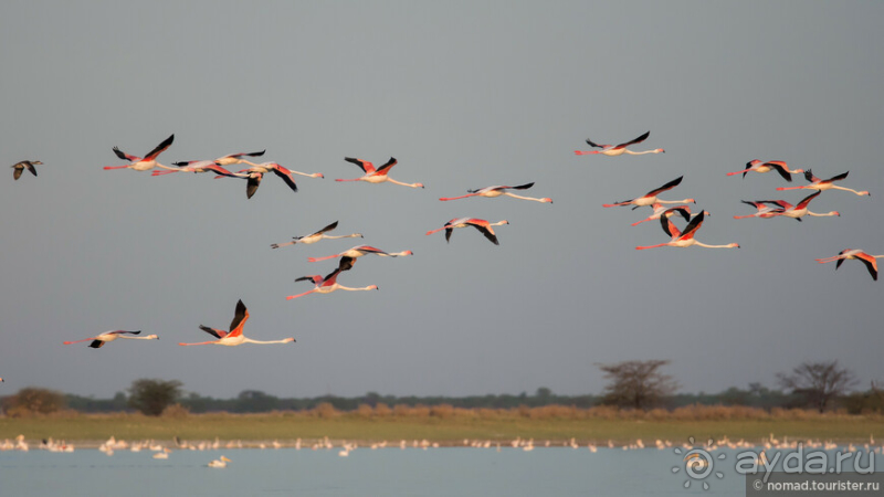 Африканское ралли. Часть 4