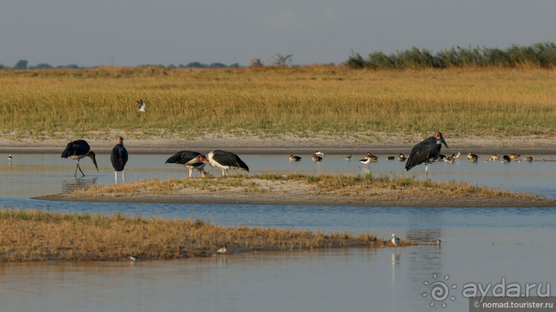 Африканское ралли. Часть 4