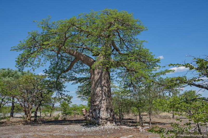 Африканское ралли. Часть 4