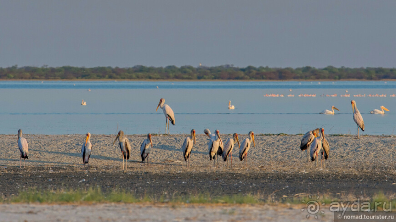 Африканское ралли. Часть 4