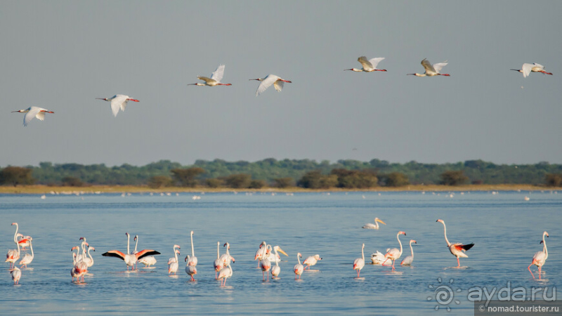 Африканское ралли. Часть 4