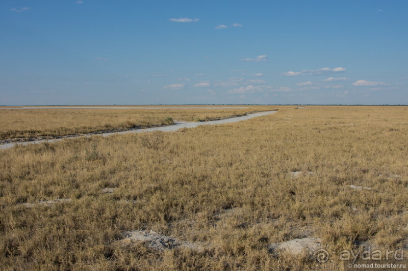 Африканское ралли. Часть 4