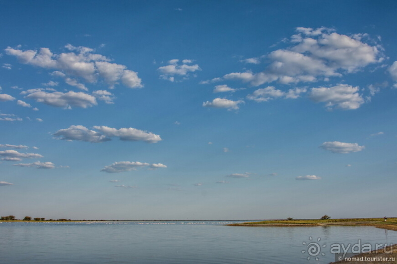 Африканское ралли. Часть 4