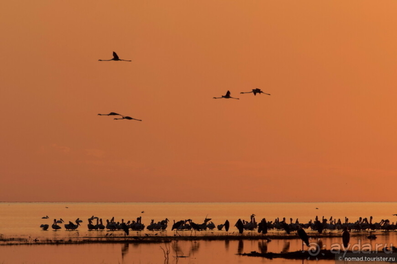 Африканское ралли. Часть 4