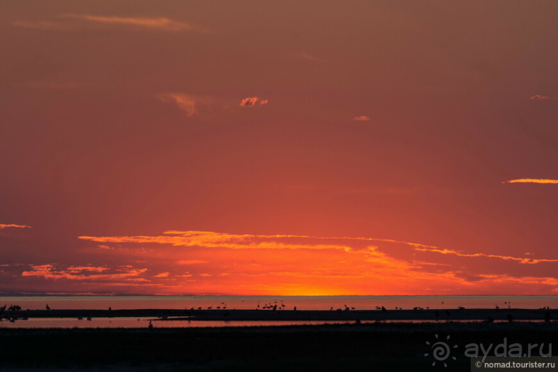 Африканское ралли. Часть 4